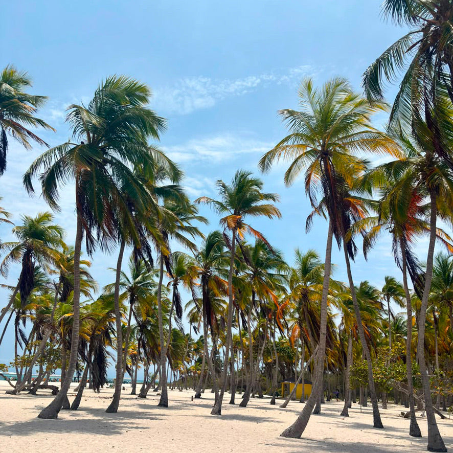 PARALELO 8N CAYO - SOMBRERO