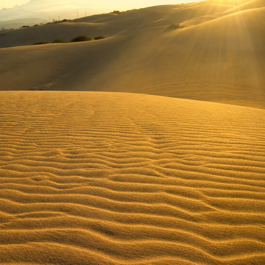 PARALELO 8N - MEDANOS