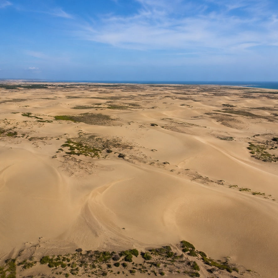 PARALELO 8N - MEDANOS