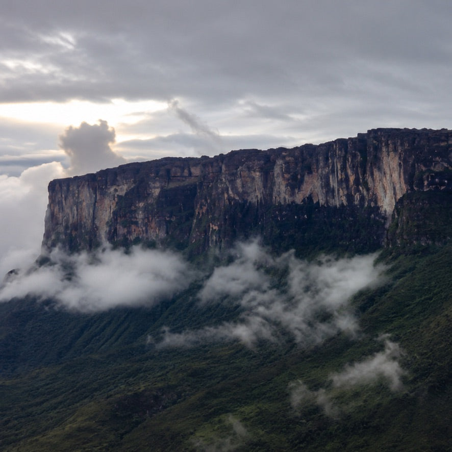 PARALELO 8N - RORAIMA