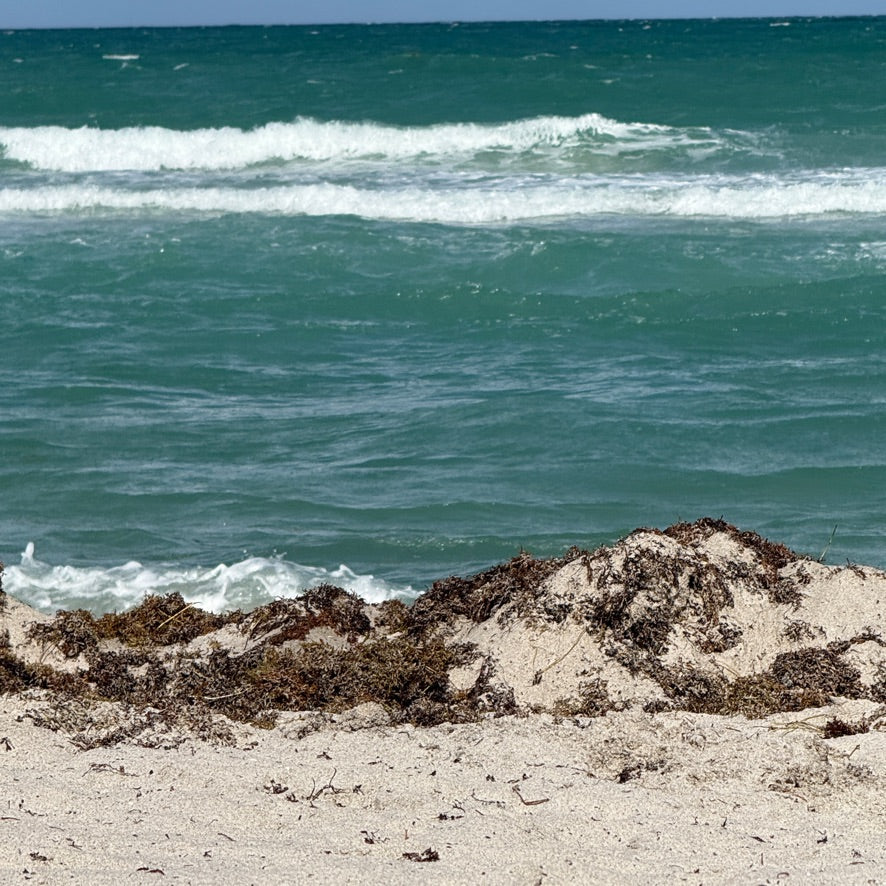 PARALELO 8N - GUACUCO