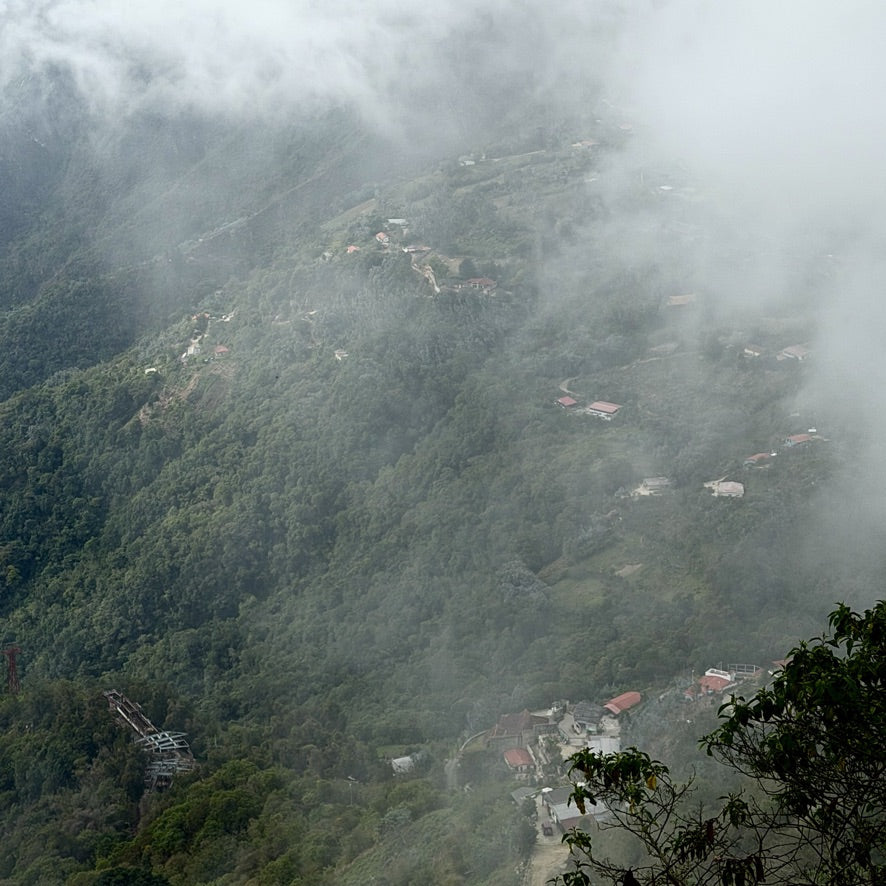 PARALELO 8N - GALIPÁN